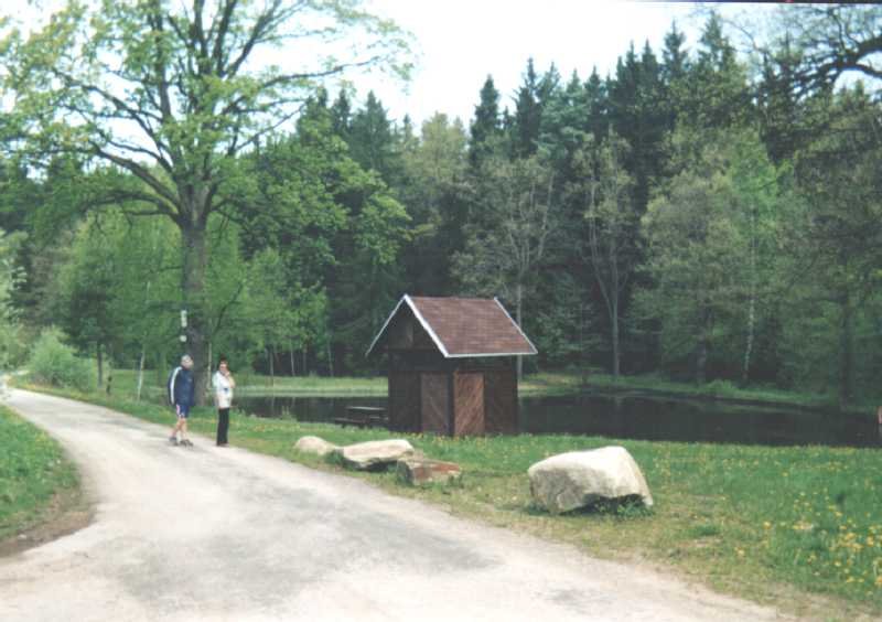 Fotografie