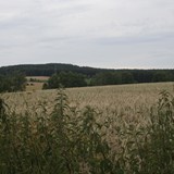 Fotky malebného okolí tábora od jednoho znuděného vedoucího...