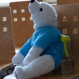 Oddílový maskot měl plné tlapky práce s fanděním…